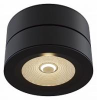 Накладной светильник Maytoni Treviso C023CL-L20B. Фото №1