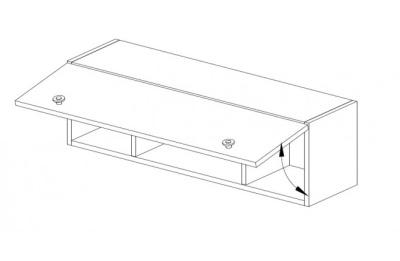 Шкаф навесной с открыванием фасада вверх Силуэт. Фото №3