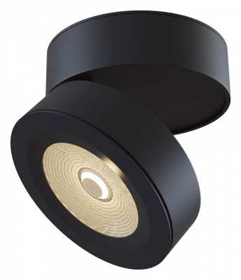 Накладной светильник Maytoni Treviso C023CL-L20B. Фото №2